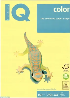 Zdjęcie produktu dla Papier Ksero A4 Iq Premium 160G (250) Kanarkowy
