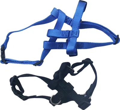 Produktbild von Hundegeschirr Prism Easy Go verstellbar  Geschirr für Hunde, Gr. S in Blau