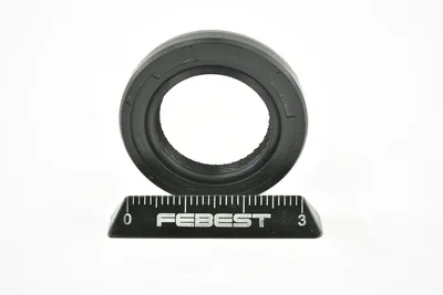Produktbild von Febest 95Gay-21320505R