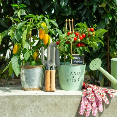 Produktbild von Gartenwerkzeug-Set mit Edelstahlharke, Schaufel und Holzbeetsteckern