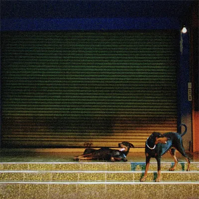 Immagine prodotto di Devozione pura