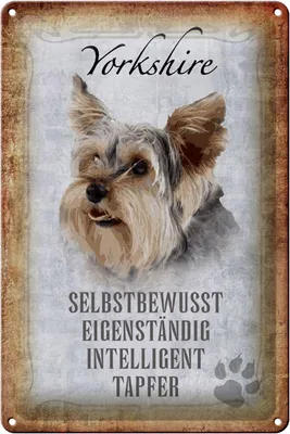 Produktbild von Blechschild Spruch 20x30cm Yorkshire Hund Schild