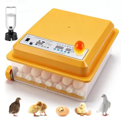 Produktbild von Eierbrüter - Automatischer Brutautomat 36 Eier - 220V - Temperaturregelung - 5 Brutprogramme - Feuchtigkeitsanzeige - Automatische Wasserbefüllung - Automatische Eierwende - Gelb