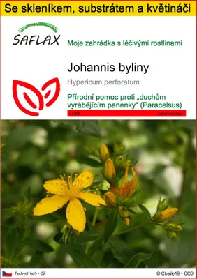 Obrázek produktu pro SAFLAX Kultivační sada - Johannis byliny - Hypericum perforatum - 300 Semena - S mini skleníkem, pěstebním substrátem a 2 květináči