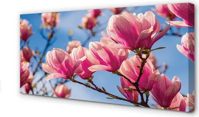 Produktbild von Leinwandbild 140x70 Wandkunst Baum Blumen