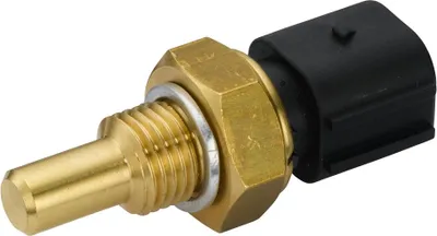 Image de capteur de température de l'eau