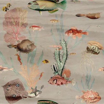 Produktbild von Fototapete Fische M1-No.11752 | Vliestapete Tiertapete | Bunt | Grau | Unterwasserwelt | Wohnzimmer