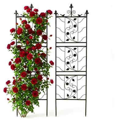 Image de Treillis Relaxdays, lot de 2, H x L 172 x 50 cm, métal, support pour plantes grimpantes, jardin, support pour rosiers, noir