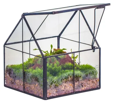 Obrázek produktu pro Mini skleněné terárium s víkem pro rostliny