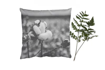 Produktbild von MuchoWow® Zierkissen Sofakissen Wohnzimmer Dekokissen 45x45 cm Baumwolle - Pflanzen - Schwarz - Weiß - Schlafpolster - Polster für das Sofa