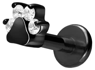 Produktbild von Ohrpiercing, Nasenpiercing Titan Labret mit Innengewinde KRISTALLPFOTE Schwarz Stablänge: 8mm | Stabstärke: 1,6mm