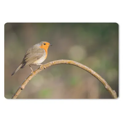 Produktbild von MuchoWow® Schreibtischunterlage Rotkehlchen - Vogel - Natur 60x40 cm - XXL Mauspad - Großes Mauspad