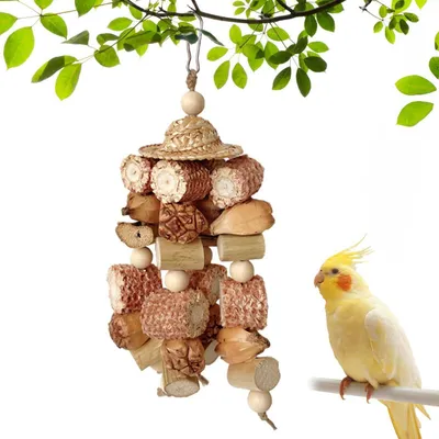 Produktbild von Vogelspielzeug Kauspielzeug aus Maiskolben und Ananasspießen für Papageien und Sittiche