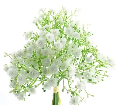 Produktbild von Schleierkraut - Gypsophila Weiß ca. 29 cm im 10er Bündel - Kunstblumen