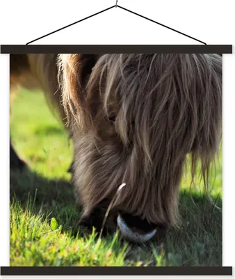 Produktbild von MuchoWow® Textilposter Schottisches Hochlandrind - Hörner - Sonne 40x40 cm mit schwarzem Rahmen - Fotos
