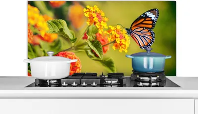 Obrázok produktu pre KitchenYeah® Kuchynský splashback - Kuchynský splashback - Ochrana steny sporáka a drezu - Motýľ - Hmyz - Kvety - Žltá 100x50 - Alu-Dibond (alternatíva skleneného splashbacku) - Tepelne odolný - Tepelne odolný - Tepelne odolný - Tepelne odolný
