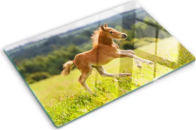 Produktbild von Tulup Glas Herdabdeckplatte - 80x52 cm - Glaskeramikkochfeld-Abdeckung Spritzschutz Glasabdeckplatte - Einteilig - Tiere - Fohlen im Galopp - Braun