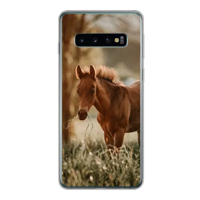 Produktbild von MuchoWow® Handyhülle Schutzhülle Hülle für Samsung Galaxy S10 Pferd - Licht - Wiese Silikon Softcase Handy Hülle - Handytasche