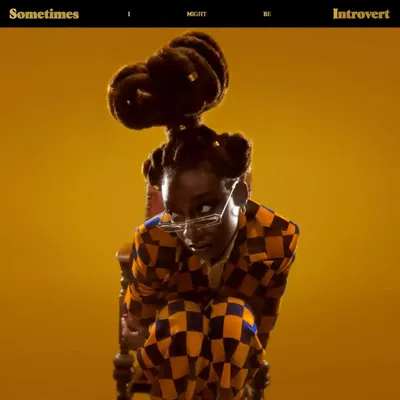 Immagine prodotto di Little Simz - a volte potrei essere un CD introverso