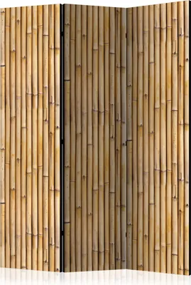 Produktbild von 3-teiliger Einseitiger Vlies Paravent - Amazonian Wall 135x172 cm Muster f-C-0380-z-b