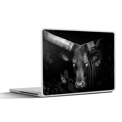 Produktbild von MuchoWow® Laptop Aufkleber Sticker Cover Nahaufnahme eines Watussi-Rindes im Dschungel - schwarz-weiß 30x22 cm - Laptop-Sticker