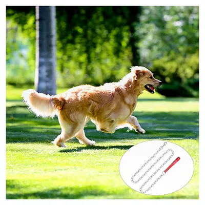 Produktbild von Hundeleine aus Metall, 180 cm Trainingsleine für Hunde, Leine aus Leder und Metall in Rot