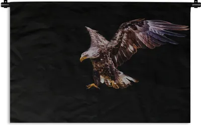 Produktbild von MuchoWow® Wandteppich Wandbehang Adler - Vogel - Federn 120x80 cm Tapisserie Dekoration Wandtuch - Wanddekorationen - Wandtücher
