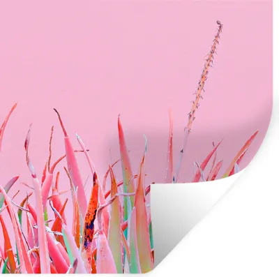 Produktbild von MuchoWow® Wandtattoo Wandsticker Wandaufkleber Sommer - Pflanzen - Pastell 80x80 cm Selbstklebend und Repositionierbar - Wierderverwendbar - Selbstklebend