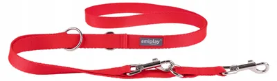 Image de Amiplay Laisse pour chien réglable 6 en 1 Rouge