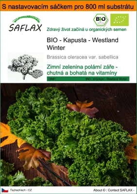 Obrázek produktu pro SAFLAX Garden in the bag - BIO - Kapusta - Westland Winter - Brassica oleracea var. sabellica - 70 Semena - S pěstebním substrátem v praktickém samovztyčovacím sáčku