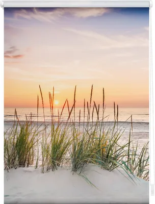 A serene beach scene at sunset with tall grass in the foreground.