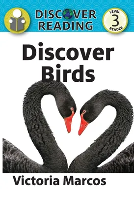 Produktbild von Discover Birds