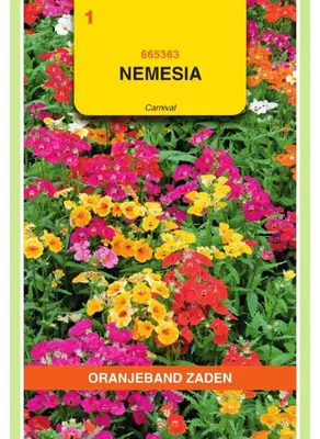 Imagen del producto de Semillas de la variedad Nemesia Strumosa "Oranjeband", mezcla de colores "Karneval" - 1 paquete