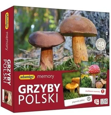 Image de ADAMIGO Jeu de mémoire Grzyby Polski 07912