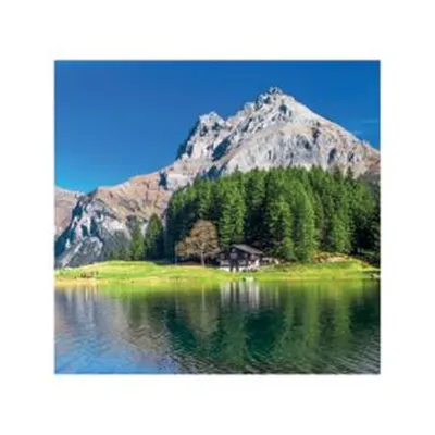 Obrázok produktu pre ZETTLER 609773 Zadný kryt kalendára - 18 x 33 cm, 2 rôzne farby