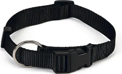 Immagine prodotto di Beeztees - Collare per cani - Nylon - nero - 40-65 cm x 25 mm