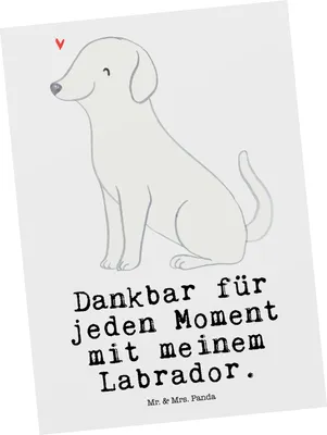 Produktbild von Mr. & Mrs. Panda Postkarte Labrador Moment - Weiß - Geschenk, Fotokarte, Postkarten, einzelkarte, Grußkarte, Ansichtskarte