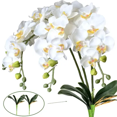 Kunstseiden-Phalaenopsis 3 Stück mit 2 Blattbündeln, 80 cm, Weiß