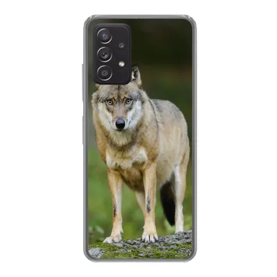 Produktbild von MuchoWow® Handyhülle Schutzhülle Hülle für Samsung galaxy a73 Wolf - Asien - Pflanzen Silikon Softcase Handy Hülle - Handyhülle