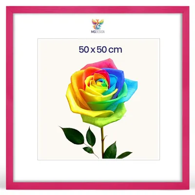 Obrázok produktu pre MG Design, rám na obrázky, 50 x 50 cm – rám na plagáty s ružovým dreveným rámom (masívne drevo) a nárazuvzdorným akrylovým sklom, vhodný na zavesenie vertikálne aj horizontálne, s robustným systémom na upevnenie na stenu