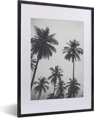 Produktbild von MuchoWow® Gerahmtes Poster Palme - Tropisch - Natur 30x40 cm - Poster mit Schwarzem Bilderrahmen Wandposter Rahmen Foto Bilder - Wandposter Schlafzimmer