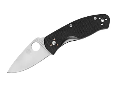 Immagine prodotto di Spyderco Persistence C136GP