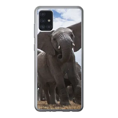 Produktbild von MuchoWow® Handyhülle Schutzhülle Hülle für Samsung Galaxy A52 5G Elefant - Tiere - Natur - Flachland Silikon Softcase Handy Hülle - Umschlag