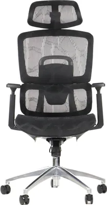 Produktbild von Ergonomischer Bürodrehstuhl ErgoNew A1, aluminiumbasis, verstellbare Armlehnen, Kopfstütze und Lordosenstütze, Sitzverlängerung, Schwarz