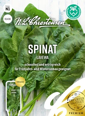 Artikelbild 1 von 'Spinat Lavewa' aus der Kategorie Spinatsamen