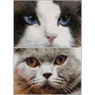 Imagen del producto de Thea Gouverneur, kit de bordado de punto de cruz "Gatos Smokey y Blu", tela Aida de 16 ct, patrón contado, 17x12 cm