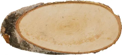 Produktbild von Bastelzubehör Birkenscheibe oval natur Durchmesser ca. 21-23cm Höhe 2cm