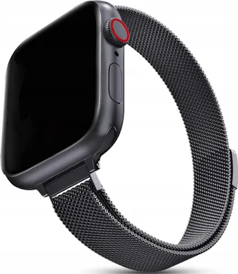Image de Bracelet magnétique en acier inoxydable pour Apple Watch 38/40 mm, gris foncé