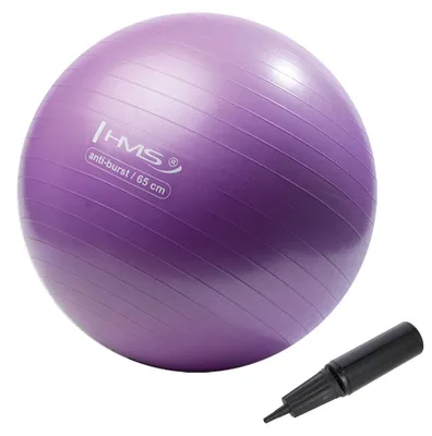 Obrázek produktu pro Gymnastický míč HMS YB02N 65 cm fialový