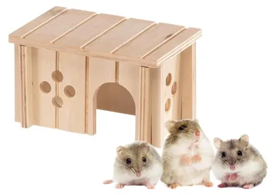 Produktbild von Ferplast Holzhaus für Hamster, Rennmäuse & Mäuse SIN 4641, Kleintierhaus aus